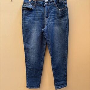 Time and Tru High Rise Cotton Skinny Jean Size 16